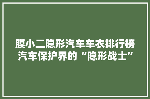 膜小二隐形汽车车衣排行榜汽车保护界的“隐形战士”  第1张