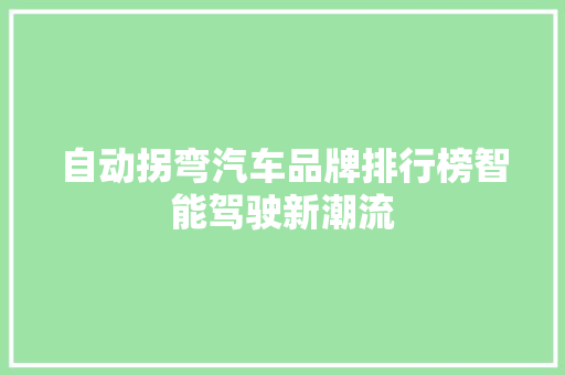 自动拐弯汽车品牌排行榜智能驾驶新潮流  第1张