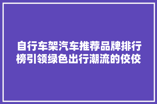 自行车架汽车推荐品牌排行榜引领绿色出行潮流的佼佼者