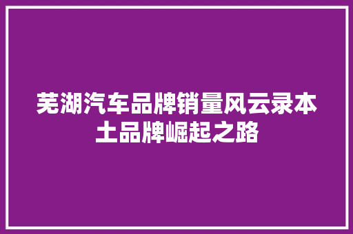 芜湖汽车品牌销量风云录本土品牌崛起之路  第1张