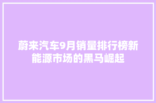 蔚来汽车9月销量排行榜新能源市场的黑马崛起  第1张