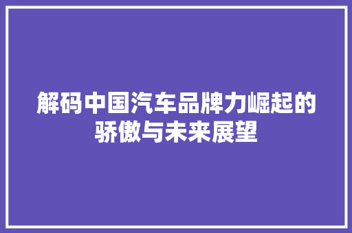解码中国汽车品牌力崛起的骄傲与未来展望  第1张
