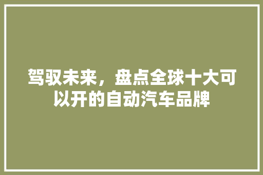 驾驭未来，盘点全球十大可以开的自动汽车品牌  第1张