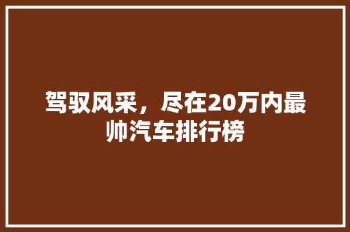 驾驭风采，尽在20万内最帅汽车排行榜
