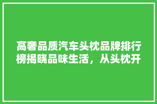 高奢品质汽车头枕品牌排行榜揭晓品味生活，从头枕开始  第1张