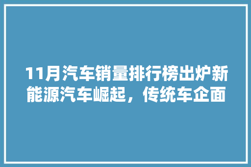 11月汽车销量排行榜出炉新能源汽车崛起，传统车企面临挑战  第1张