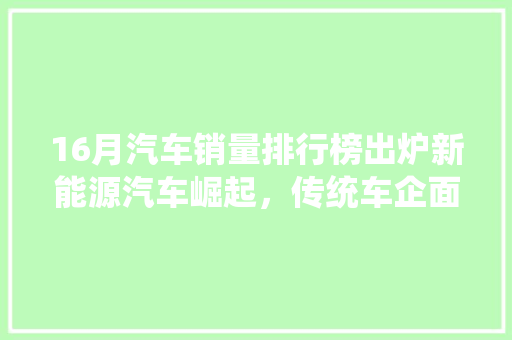 16月汽车销量排行榜出炉新能源汽车崛起，传统车企面临挑战  第1张