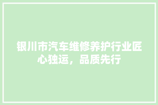 银川市汽车维修养护行业匠心独运，品质先行