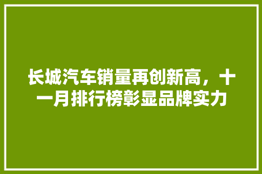 长城汽车销量再创新高，十一月排行榜彰显品牌实力