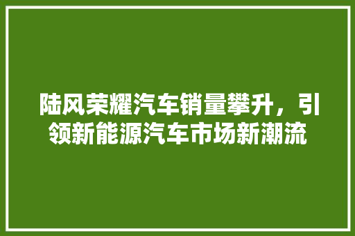 陆风荣耀汽车销量攀升，引领新能源汽车市场新潮流  第1张