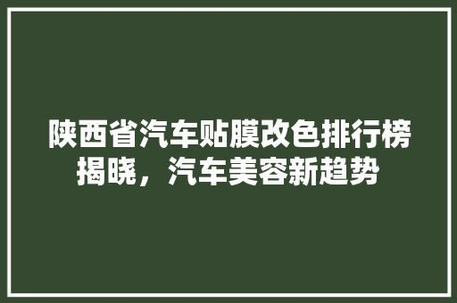 陕西省汽车贴膜改色排行榜揭晓，汽车美容新趋势