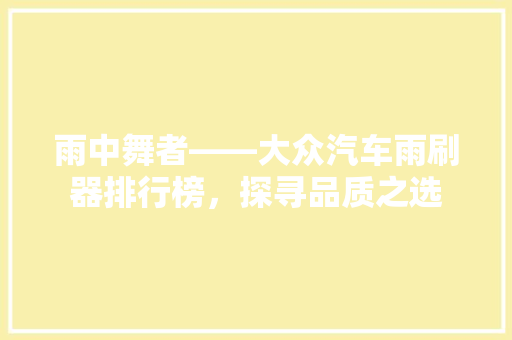 雨中舞者——大众汽车雨刷器排行榜，探寻品质之选