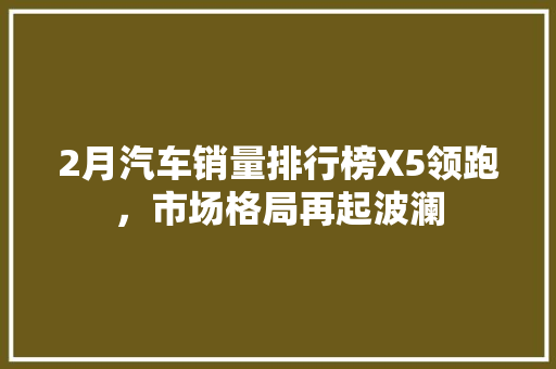 2月汽车销量排行榜X5领跑，市场格局再起波澜  第1张