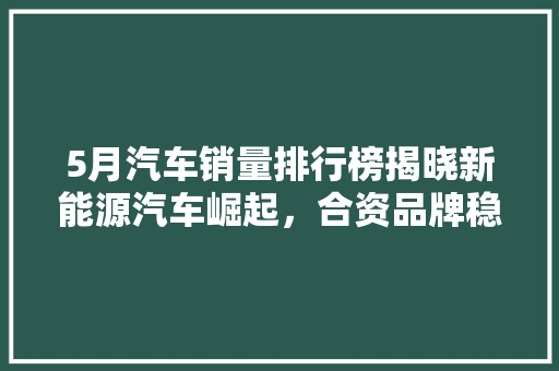 5月汽车销量排行榜揭晓新能源汽车崛起，合资品牌稳中求进