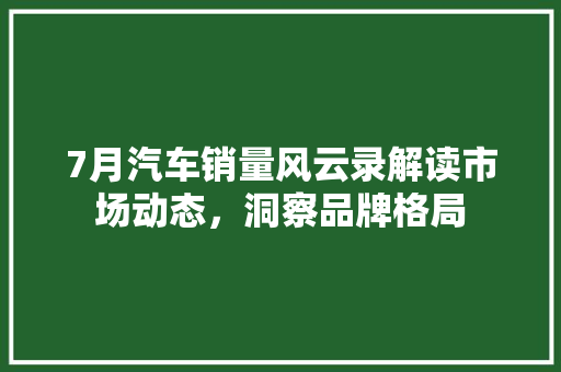 7月汽车销量风云录解读市场动态，洞察品牌格局