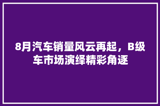 8月汽车销量风云再起，B级车市场演绎精彩角逐  第1张