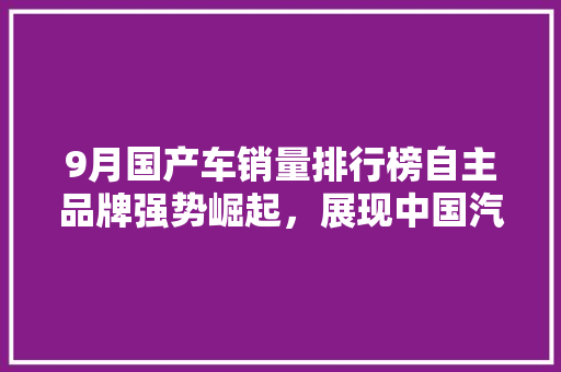 9月国产车销量排行榜自主品牌强势崛起，展现中国汽车工业新风采  第1张