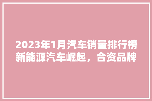 2023年1月汽车销量排行榜新能源汽车崛起，合资品牌压力增大  第1张