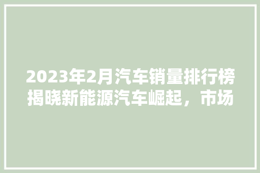 2023年2月汽车销量排行榜揭晓新能源汽车崛起，市场格局再洗牌  第1张