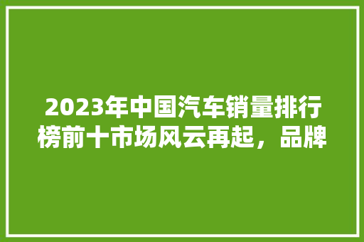 2023年中国汽车销量排行榜前十市场风云再起，品牌格局重塑  第1张