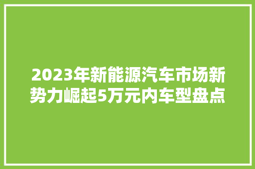 2023年新能源汽车市场新势力崛起5万元内车型盘点