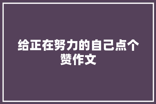 五月新能源汽车排行榜揭晓，绿色出行新风尚引领未来