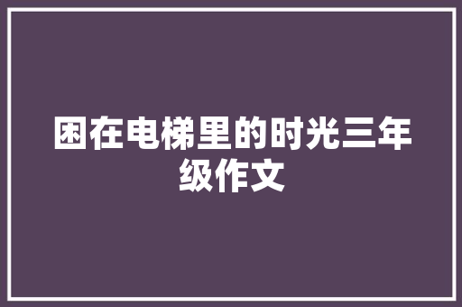 中国产两厢汽车品牌排行榜揭晓品质与创新引领潮流