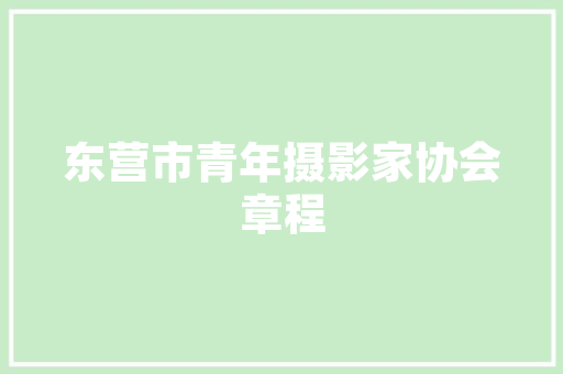 2023年2月汽车销量排行榜揭晓新能源汽车异军突起，传统燃油车市场稳中有变  第1张