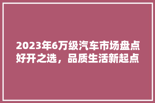 2023年6万级汽车市场盘点好开之选，品质生活新起点  第1张