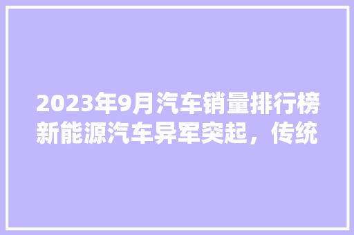 2023年9月汽车销量排行榜新能源汽车异军突起，传统车企面临挑战  第1张