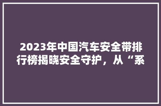 2023年中国汽车安全带排行榜揭晓安全守护，从“系”开始  第1张