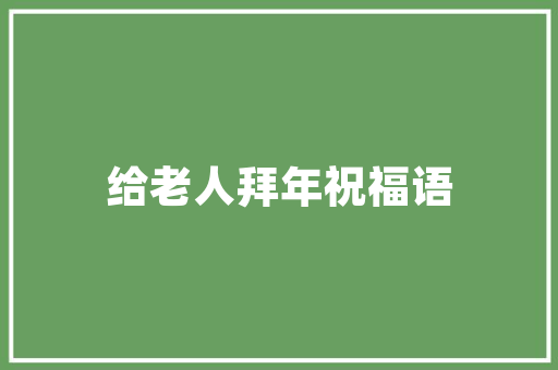 2023大众汽车价格排行榜市场风云变幻，品质与价值并重  第1张