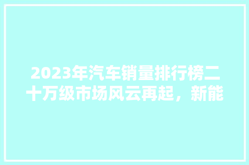 2023年汽车销量排行榜二十万级市场风云再起，新能源汽车崛起  第1张