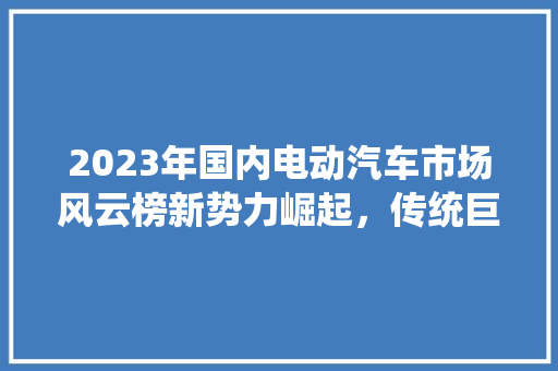 2023年国内电动汽车市场风云榜新势力崛起，传统巨头布局未来  第1张
