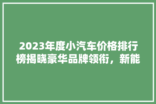2023年度小汽车价格排行榜揭晓豪华品牌领衔，新能源汽车崛起  第1张