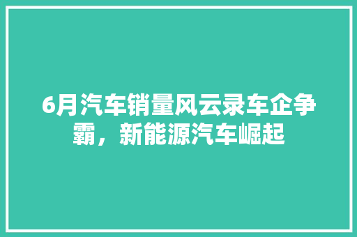 6月汽车销量风云录车企争霸，新能源汽车崛起