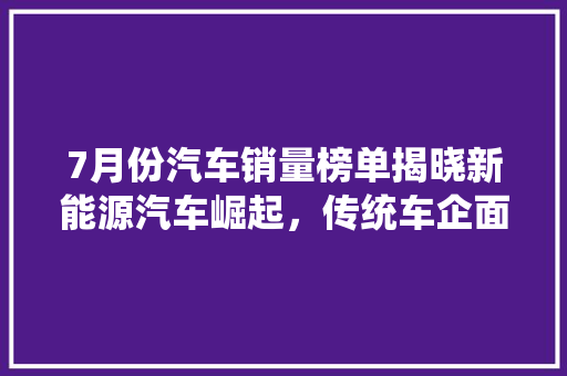 7月份汽车销量榜单揭晓新能源汽车崛起，传统车企面临挑战  第1张