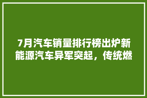 7月汽车销量排行榜出炉新能源汽车异军突起，传统燃油车面临挑战