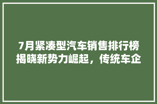 7月紧凑型汽车销售排行榜揭晓新势力崛起，传统车企稳扎稳打