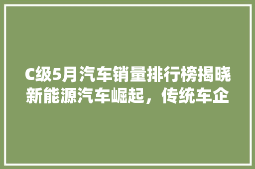 C级5月汽车销量排行榜揭晓新能源汽车崛起，传统车企面临挑战  第1张