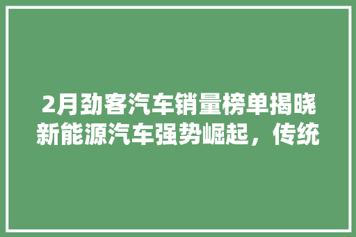 2月劲客汽车销量榜单揭晓新能源汽车强势崛起，传统车企面临挑战  第1张