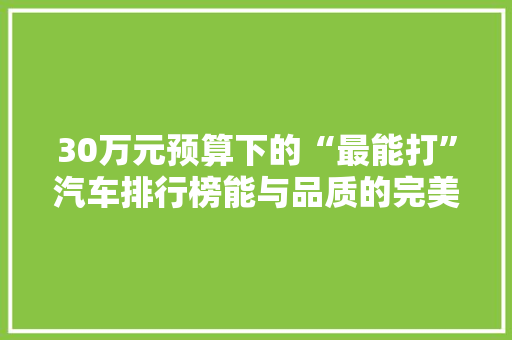 30万元预算下的“最能打”汽车排行榜能与品质的完美融合  第1张