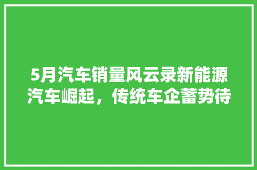5月汽车销量风云录新能源汽车崛起，传统车企蓄势待发