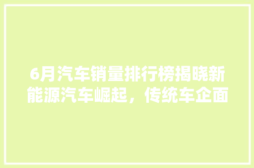 6月汽车销量排行榜揭晓新能源汽车崛起，传统车企面临挑战