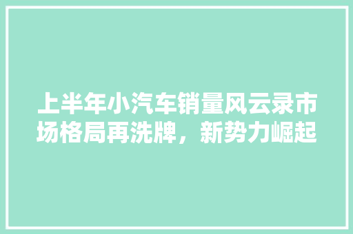 上半年小汽车销量风云录市场格局再洗牌，新势力崛起