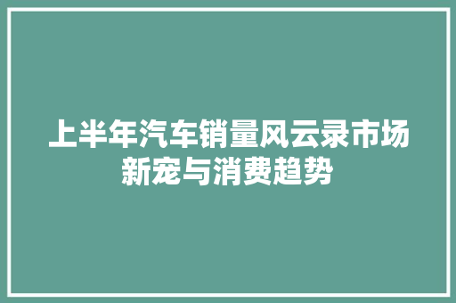 上半年汽车销量风云录市场新宠与消费趋势