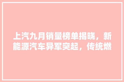 上汽九月销量榜单揭晓，新能源汽车异军突起，传统燃油车市场面临挑战  第1张
