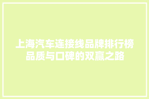 上海汽车连接线品牌排行榜品质与口碑的双赢之路