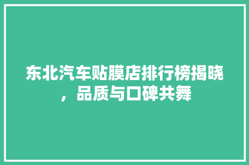 东北汽车贴膜店排行榜揭晓，品质与口碑共舞