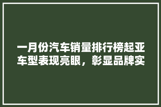 一月份汽车销量排行榜起亚车型表现亮眼，彰显品牌实力